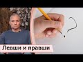 Почему нет левшей и правшей среди представителей высокоразвитой космической цивилизации Сияющих?