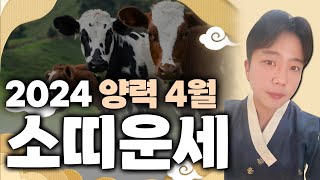 힘들었던 고비가 풀려가는 소띠 4월 운세