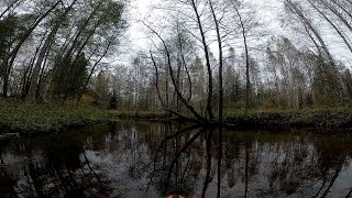 картинка: Одиночный сплав по реке Уса Налибокская