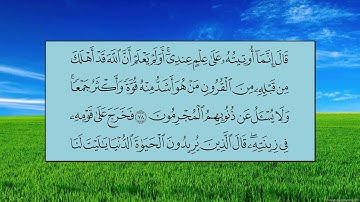 سورة القصص (الآية 71 ~ الآية 88) - ماهر بن حمد المعيقلي