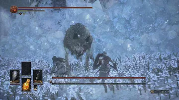 DARK SOULS III Champion's Gravetender Gravetenders Greatwolf #darksouls3 #fromsoftware #gaming #ps5