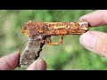 Glock 17 Gun Restoration - MINI Caliber .11