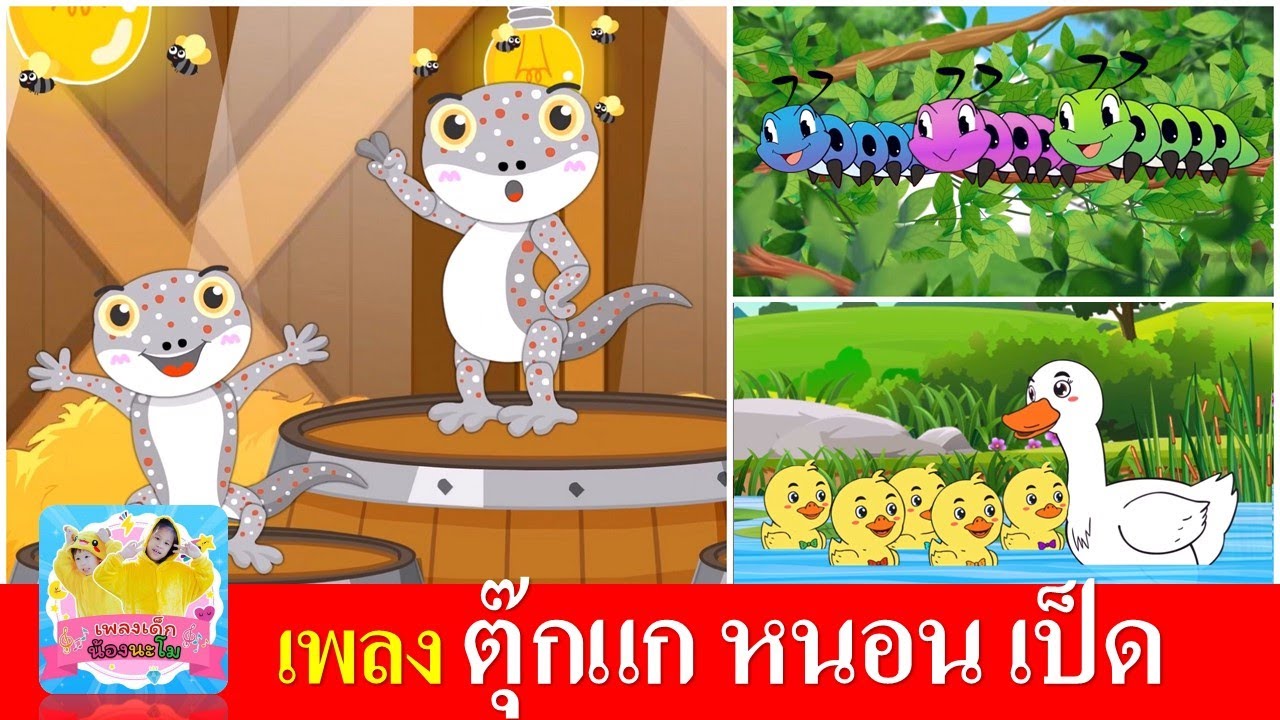 เพลงเด็กอนุบาล ตุ๊กแก หนอน เป็ด | ตุ๊กแก | หนอนผีเสื้อ | เป็ดอาบน้ำในคลอง