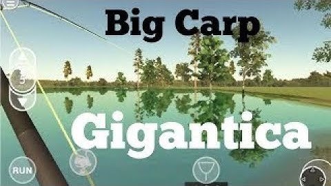 Carp Fishing Sim 202