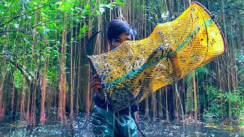 Bẫy Dính Cặp Lươn Khủng Của Rừng Miền Nam Bằng Lờ Cá Loại Mới alone in the wild forest
