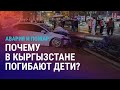 ДТП в Бишкеке и пожар в Оше унесли жизни детей. Бродячих животных будут усыплять в Казахстане | АЗИЯ