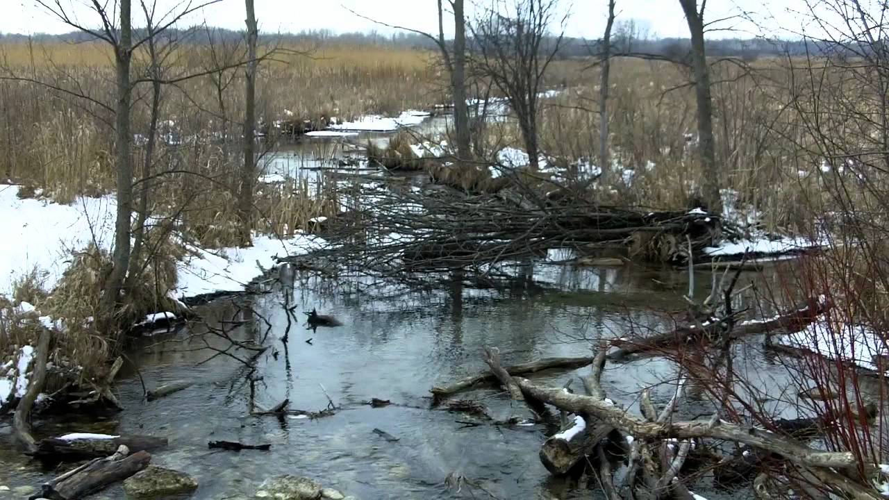 Kettle Moraine State Forest Southern Unit, Wisconsin YouTube