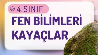 4. Sınıf Fen Bilimleri Kayaçlar Konu Anlatımı Konu Özetleri - Yer Kabuğunun Yapısı