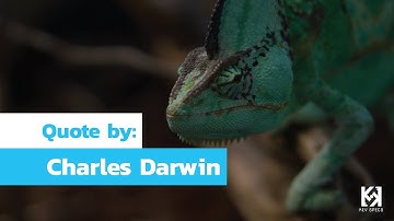 Survival of the Fittest by Charles Darwin