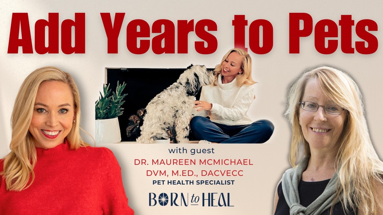 Как домашние животные отражают наш путь к исцелению с доктором Морин Макмайкл, ветеринарным специ...