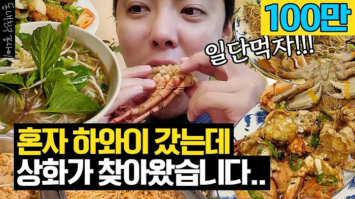 (sub) 폭식 여행 꿈꾸며 하와이 혼자 갔는데 그곳에서 상화를 만났다 [동네친구 강나미]
