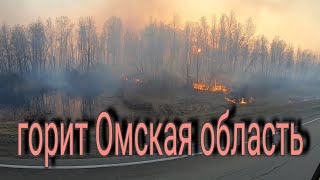 пожары Омской области