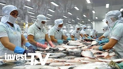 Năm 2018: Xuất khẩu cá tra Việt Nam cao nhất trong 2 thập kỷ