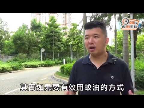 探射燈：防蚊3漏洞　疫危機重重