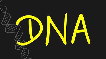 DNA Explained Simply