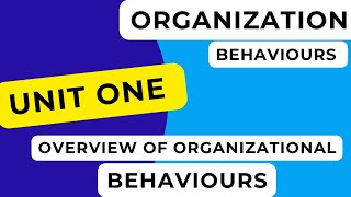 Organization Behaviour Unit One Tutorials Profile