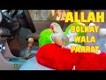 ALLAH Bolnay Wala Tota||Amazing Talking Parrot Saying ALLAH So Cute