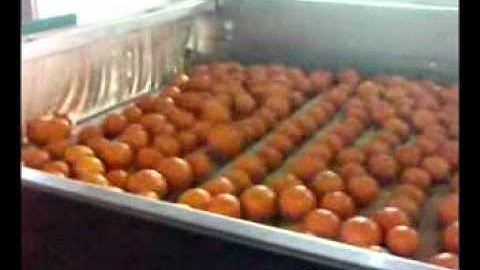 MEDEST FOR IMPORT AND EXPORT.wmv