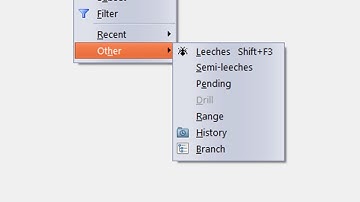 Element Window View Submenu: Other in Supermemo