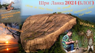 Шри-Ланка 2024 (БЛОГ). Поездка на Шри-Ланку 2024. Обзор на Шри-Ланку 2024. Унаватуна, Пидурангула.