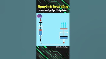 Nguyên Lí Hoạt Động Của Máy Ép Thủy Lực #khoahoc @Kienthucmoingay @YTKienThucKhoaHoc