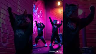Cats Dancing