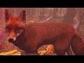 Симулятор Лисы в Киберпанке #1 Fox Кида в The End Inari&#39;s Quest на пурумчата