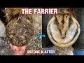 VERY SATISFYING -  HOOF TRIM -  FARRIER