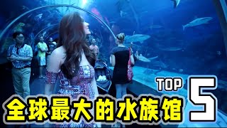 世界上最大的水族馆Top5，各种神奇的海洋生物应有尽有！