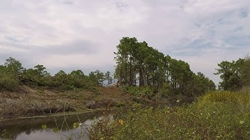 Canal Clearing Timelapse 2sec Interval 1