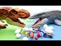 Mosasaurus VS. T-Rex | Jurassic World2 Dinosaur Toys For Kids! 공룡메카드가 위험해~ Dinosaur Eggs  in Danger~