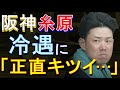 阪神 糸原が岡田政権での冷遇に「正直キツイ」2023年2月21日