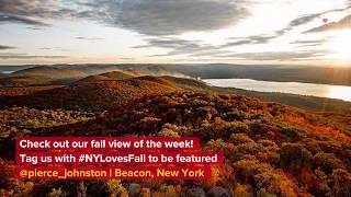 #NYLovesFall Foliage Report: Week of October 2-8