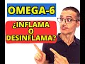 ¿EL ACEITE de GIRASOL es INFLAMATORIO? ¿Hay DIFERENTES TIPOS de OMEGA-6?