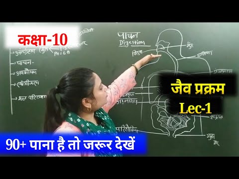 जैव प्रक्रम( Lec-1),/Class 10  Science chapter 6|| science important ques 2021 (class 10 biology)