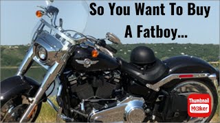 The Fatboy  What To Know Before Buying.