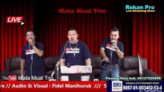 Muara Nauli //  covered, MATA MUAL Trio