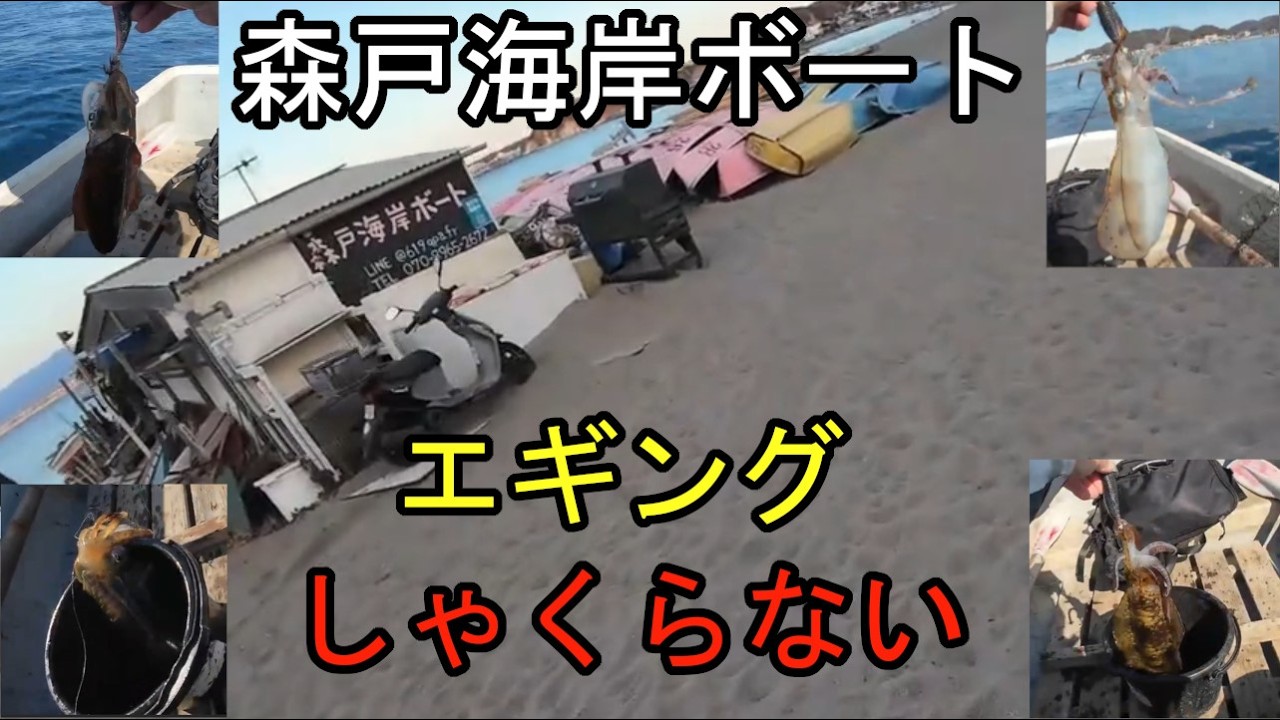 森戸海岸ボート！アオリイカ釣り
