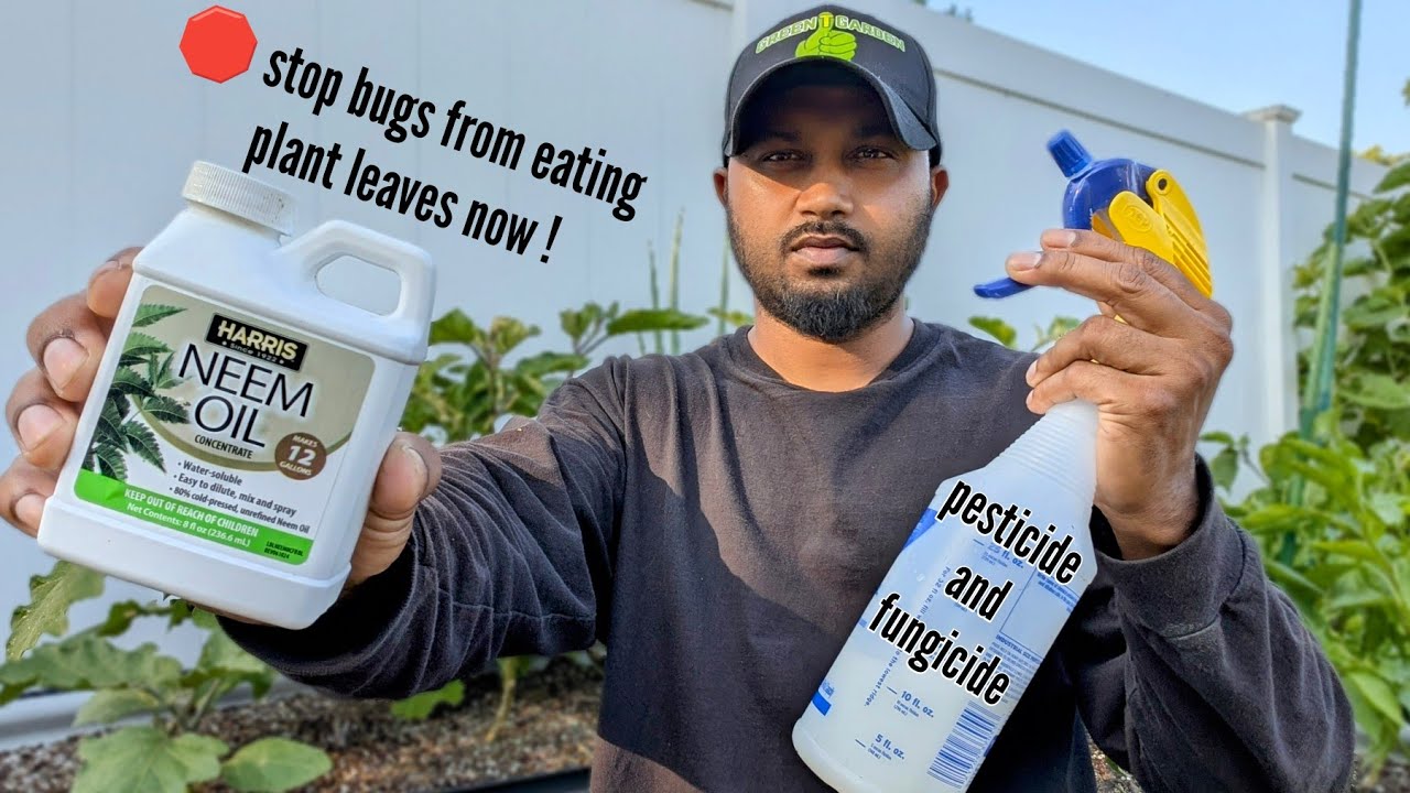 Neem Oil for Garden Plants: Ultimate Natural Pest Control Guide