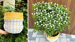 Beautiful and simple plant pots that anyone can make, beautiful garden decoration tips