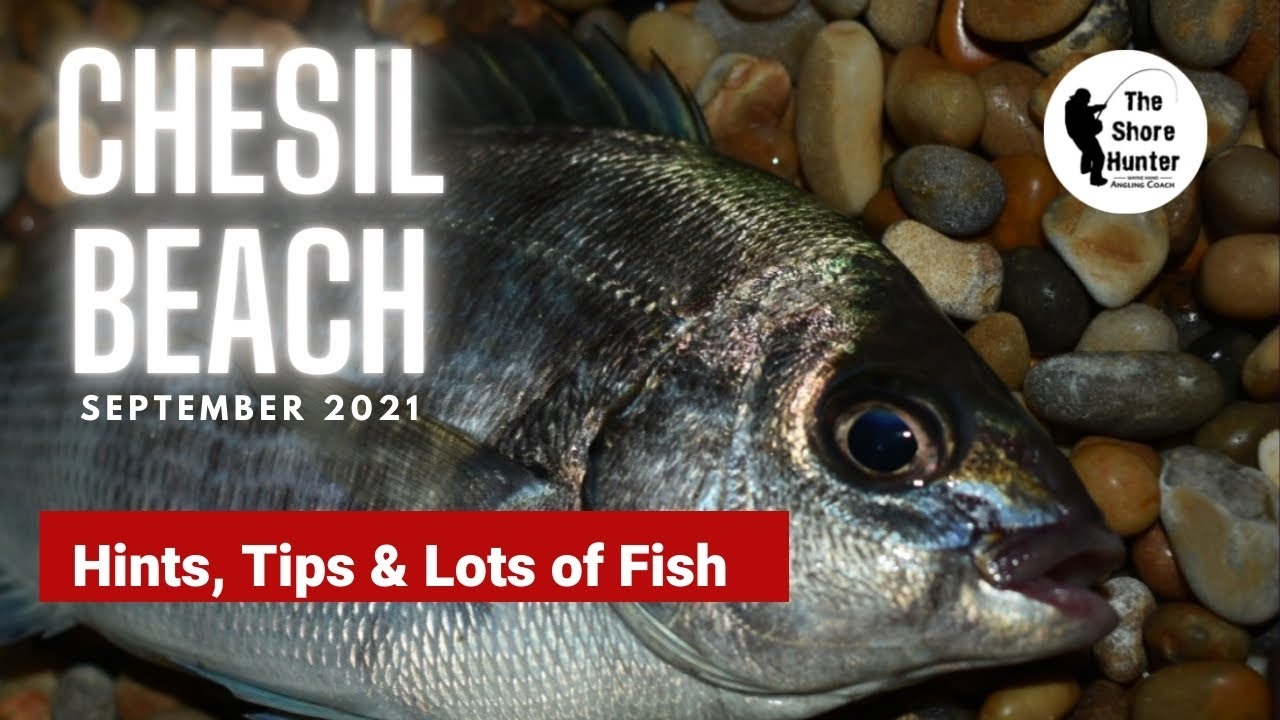 Chesil Beach, Sea Fishing Coaching, Hints, Tips & Plenty of Fish. Bream