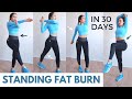 FULL BODY STANDING FAT LOSS, get flat abs in 30 days, no jumping, knee friendly