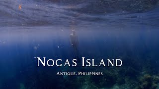 Nogas Island Free diving