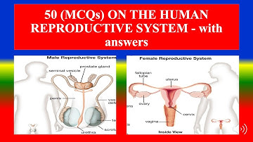 Reproductive System MCQs | 50 Important Questions with Answers for Students & Exams