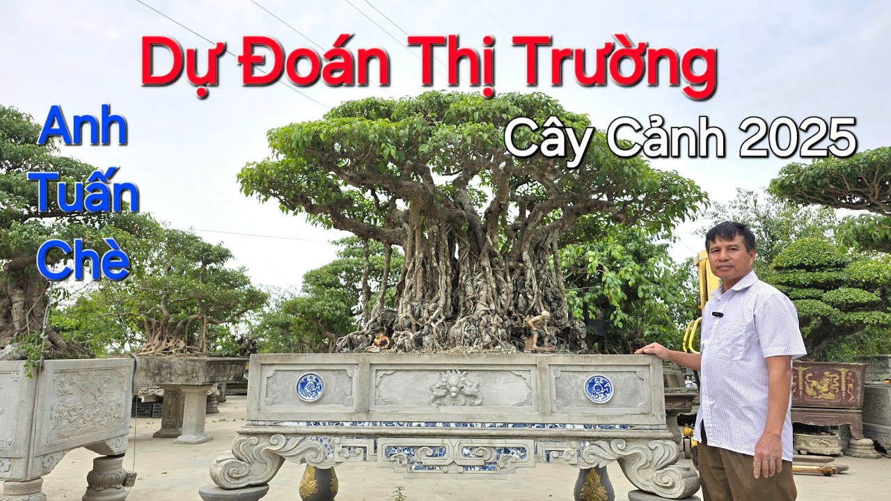 DỰ ĐOÁN & NHẬN ĐỊNH về thị Trường cây Cảnh của VIỆT NAM trong năm 2025 * Anh Tuấn Chè CS *.