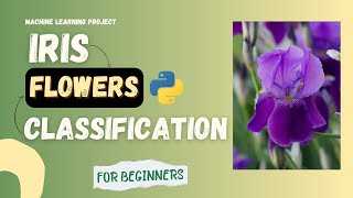 Iris Flower Classification | Machine Learning Project for Beginners