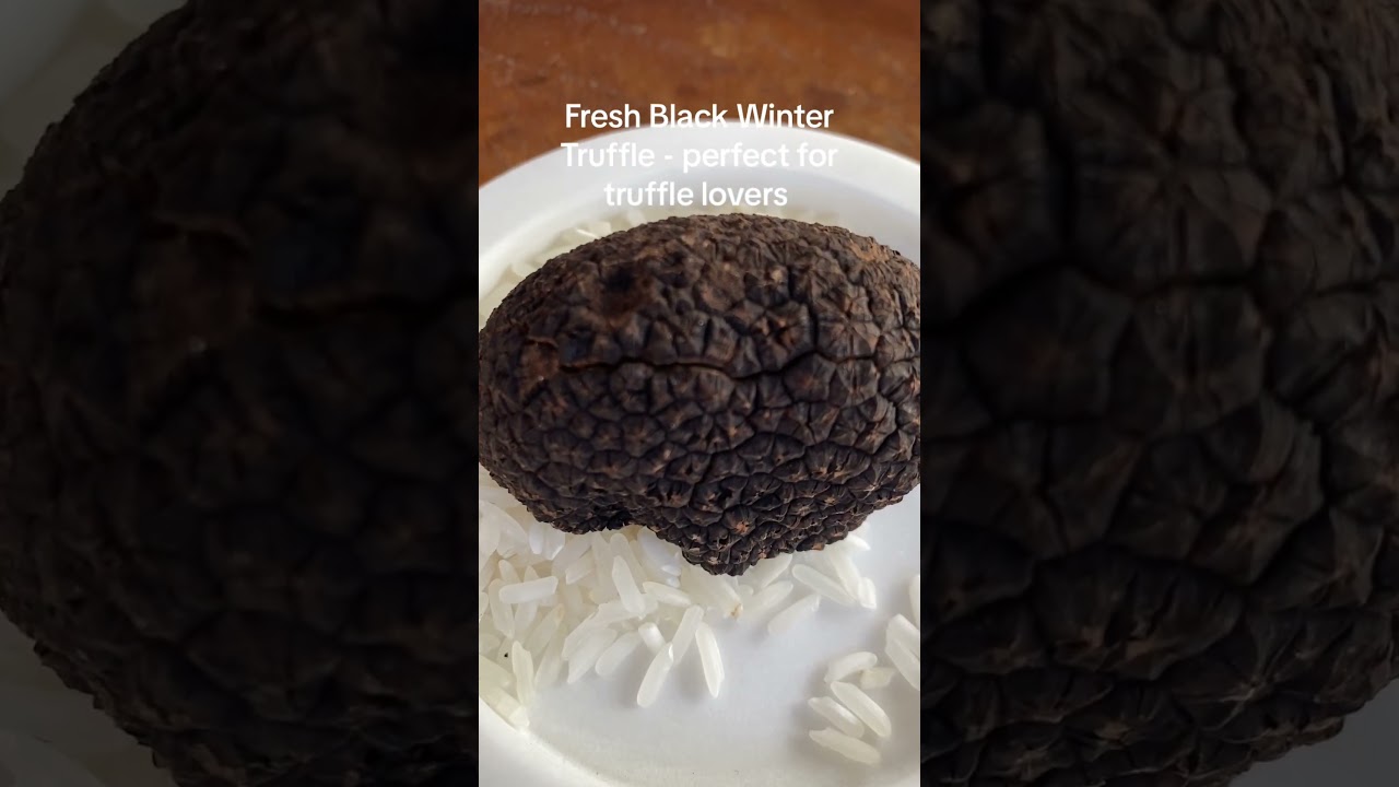 Fresh Black Winter Truffle  