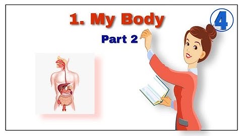 CLASS 4 SCIENCE I CHAPTER 1 I MY BODY I PART 2 IN ENGLISH &HINDI