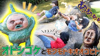 【こびとづかん】大転倒!!ビックリこびととモクモドキオオコビト！