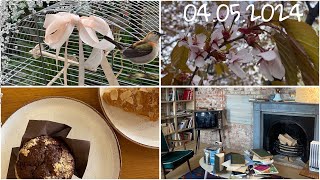 видео: 🌸 VLOG #114. Цветение Сакуры | Анненкирхе | Экскурсия Полторы комнаты Бродского | Оранжерея пальм картинка: 🌸 VLOG #114. Цветение Сакуры | Анненкирхе | Экскурсия Полторы комнаты Бродского | Оранжерея пальм